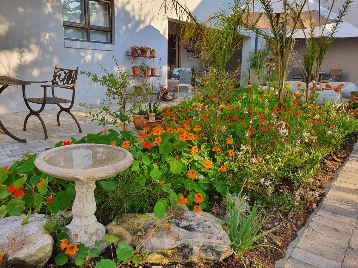 Albatross Guesthouse Langebaan Exteriör bild